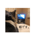 由貴のハナ（個別スタンプ：6）
