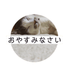 由貴のハナ（個別スタンプ：8）