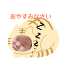 ここちゃんらぶ（個別スタンプ：4）