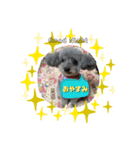 犬とウサギの生活 2（個別スタンプ：6）