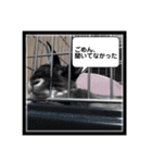 犬とウサギの生活 2（個別スタンプ：16）