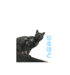にゃも（個別スタンプ：2）
