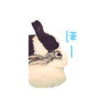 にゃも（個別スタンプ：8）
