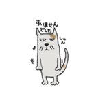 ほっこりねこさんズ（個別スタンプ：12）