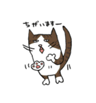 ほっこりねこさんズ（個別スタンプ：36）