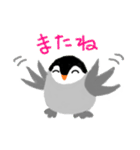こぺんぎん 2（個別スタンプ：13）