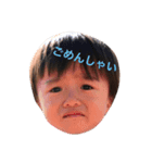 はーちゃん①（個別スタンプ：1）