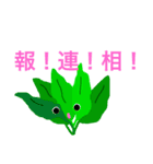 活発な野菜たち（個別スタンプ：14）