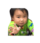 愛しのたいてぃー（個別スタンプ：1）
