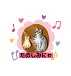 猫の日記念♪ちっぷ＆ぷぅちゃんスタンプ（個別スタンプ：8）