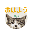 びびこちゃん。（個別スタンプ：1）