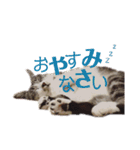 びびこちゃん。（個別スタンプ：2）