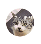 びびこちゃん。（個別スタンプ：9）