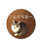 びびこちゃん。（個別スタンプ：14）