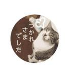 びびこちゃん。（個別スタンプ：15）