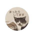 びびこちゃん。（個別スタンプ：16）