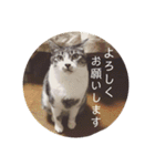 びびこちゃん。（個別スタンプ：22）