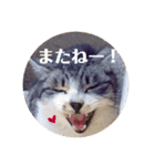 びびこちゃん。（個別スタンプ：24）