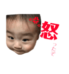 はる君3（個別スタンプ：4）