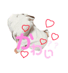 はる君3（個別スタンプ：29）