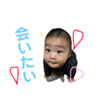 はる君3（個別スタンプ：36）