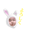 かとー家（個別スタンプ：12）