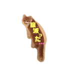 猫のそらスタンプ（個別スタンプ：6）