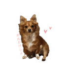愛犬ビビちゃん（個別スタンプ：1）