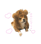 愛犬ビビちゃん（個別スタンプ：10）