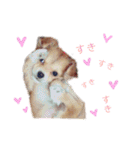 愛犬ビビちゃん（個別スタンプ：22）