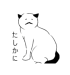 おひげ猫（個別スタンプ：11）