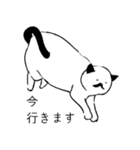 おひげ猫（個別スタンプ：35）