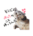 BOY♡DOG♡CAT（個別スタンプ：1）
