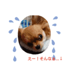 アンディ＆サリー2（個別スタンプ：14）