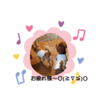 アンディ＆サリー2（個別スタンプ：15）