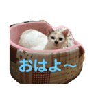 こてつとマリー（個別スタンプ：1）