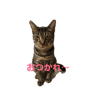 こてつとマリー（個別スタンプ：2）