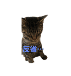 こてつとマリー（個別スタンプ：4）