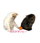 こてつとマリー（個別スタンプ：7）