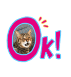 opicoのスタンプ（個別スタンプ：6）