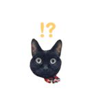 opicoのスタンプ（個別スタンプ：13）