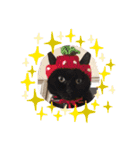 opicoのスタンプ（個別スタンプ：26）