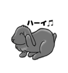 ロップイヤー黒音Ver2（個別スタンプ：1）