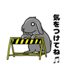 ロップイヤー黒音Ver2（個別スタンプ：5）