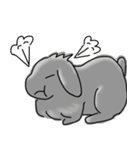ロップイヤー黒音Ver2（個別スタンプ：14）