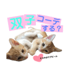 キトンMix byオハナビーズ（個別スタンプ：3）