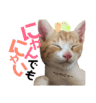 キトンMix byオハナビーズ（個別スタンプ：10）