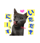 キトンMix byオハナビーズ（個別スタンプ：15）