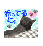 キトンMix byオハナビーズ（個別スタンプ：20）