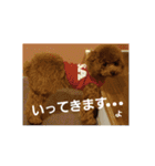 小麦のこむたん3（個別スタンプ：8）